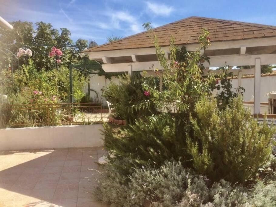 Superbe Appartement En Residence Avec Patio Villeneuve-les-Maguelonne Exterior photo